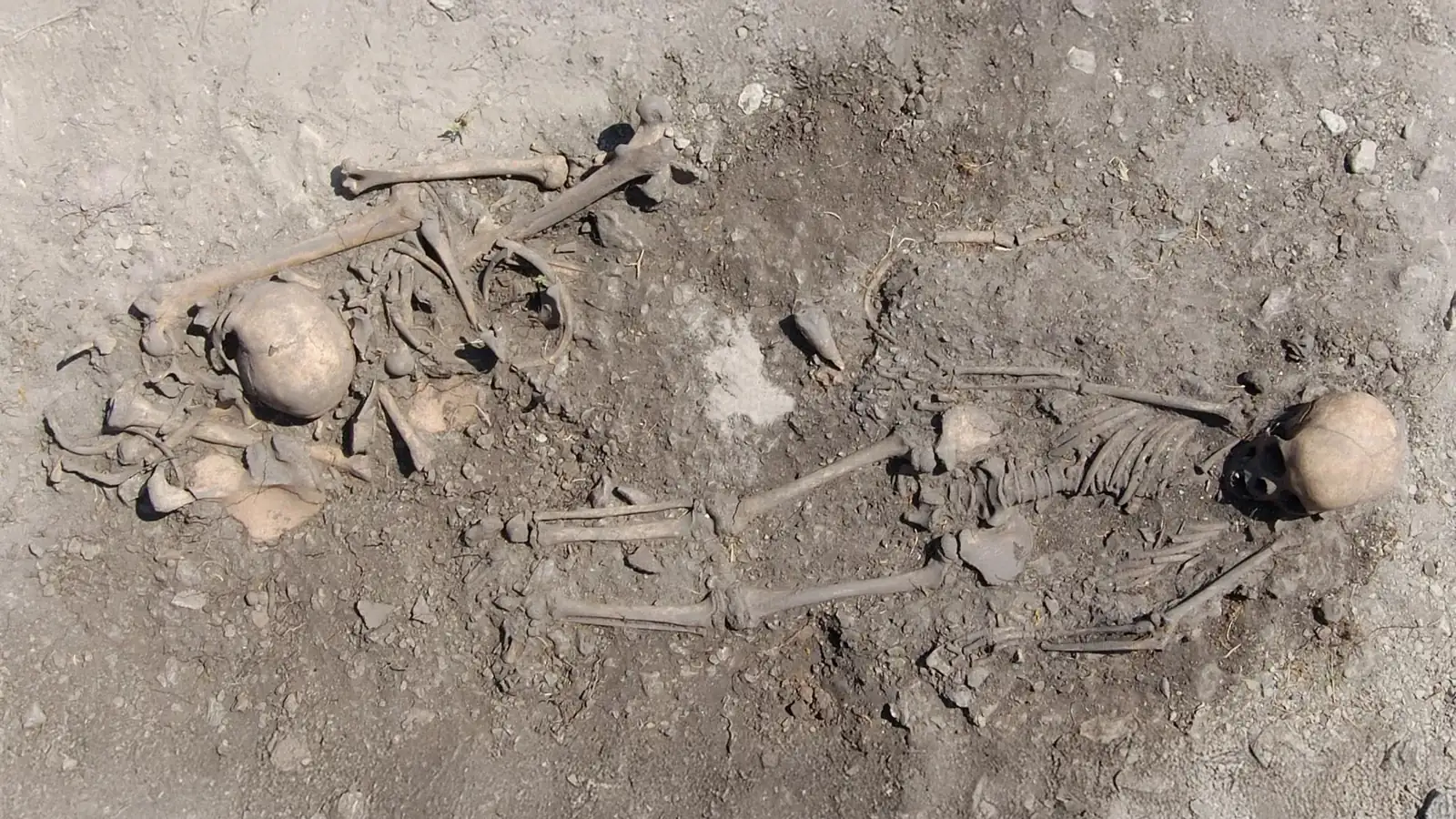 Ancient DNA Reveals 5500-Year-Old Family Ties in Swedish Burial Site